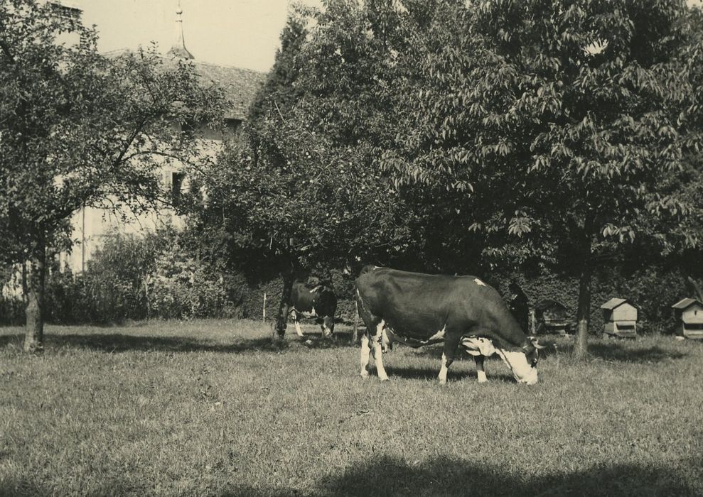 Couvent de la Visitation (ancien) : Jardin, vue partielle