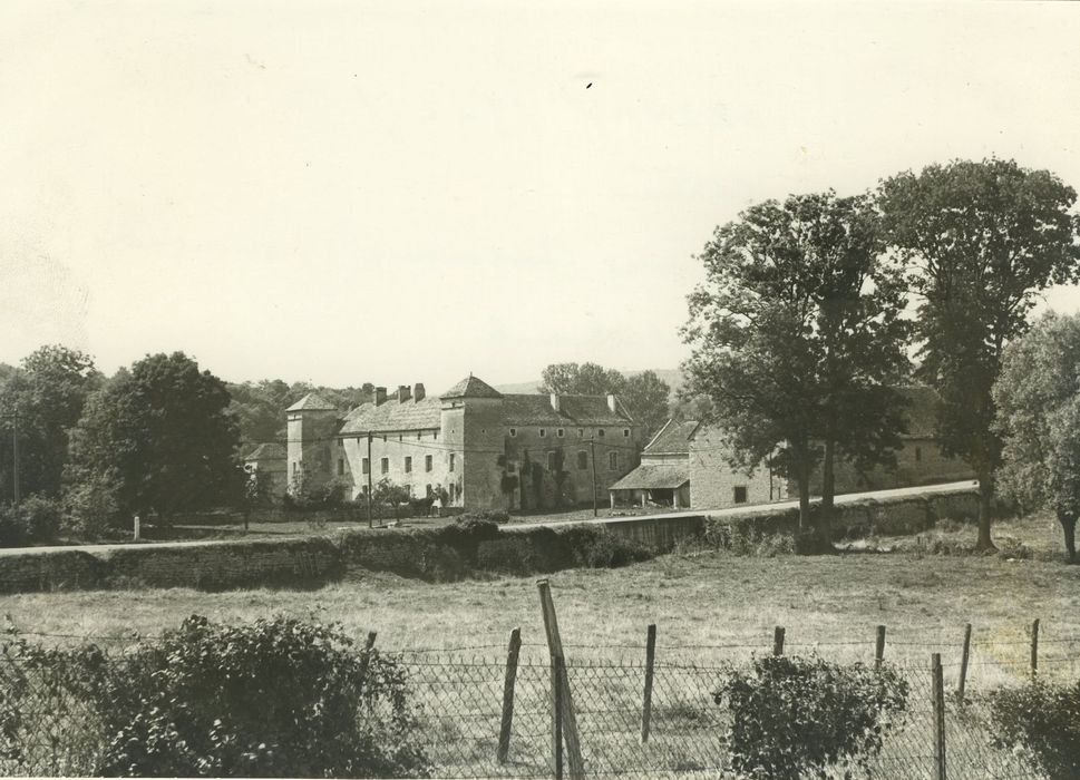 Château d'Ozenay : Vue générale du château dans son environnement depuis le Sud-Est