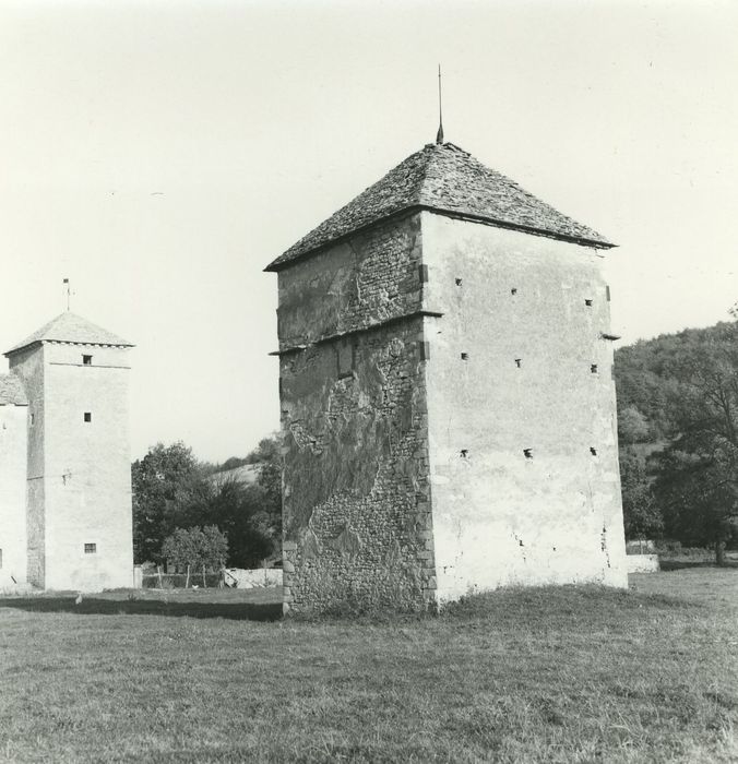 Château d'Ozenay : Pigeonnier, vue générale