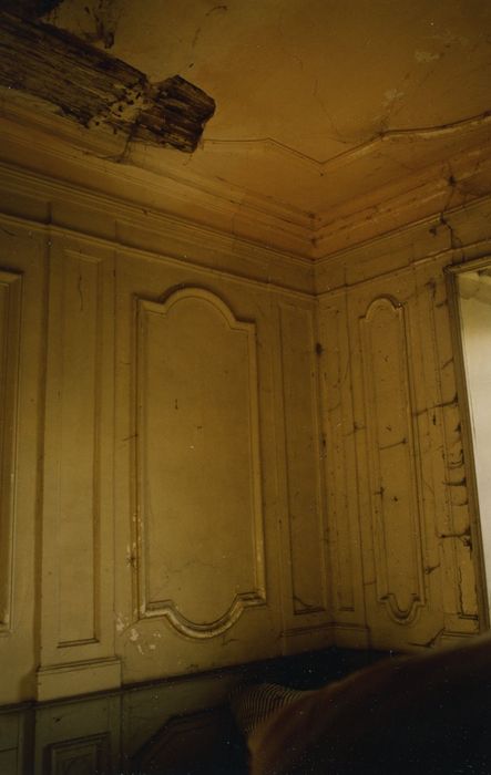 Château d'Ozenay : Aile sud, chambre, décor de stuc, vue partielle