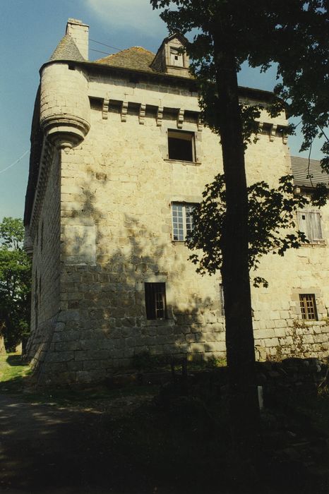 Château de Montvallat : Façade est, vue générale