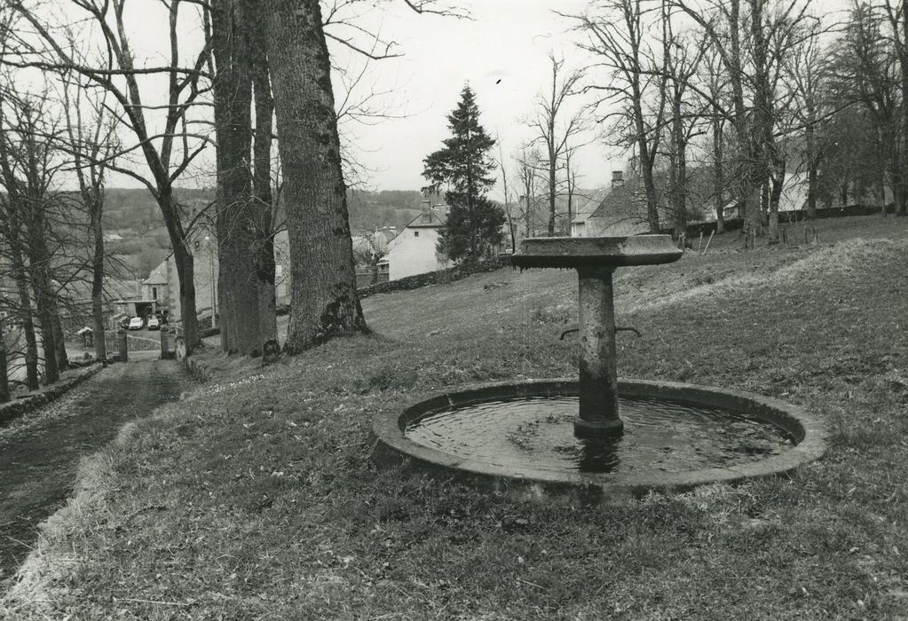 Château : Parc ouest, détail d’un bassin