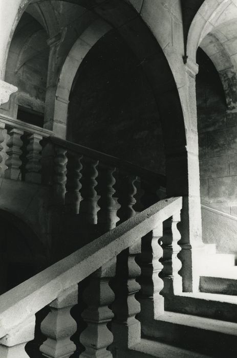 Château : Escalier d’honneur, vue partielle