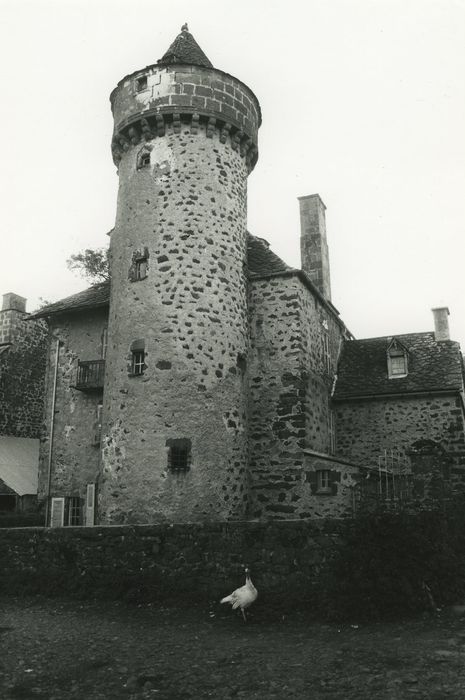 Château d'Escorolles : Ensemble est, vue générale