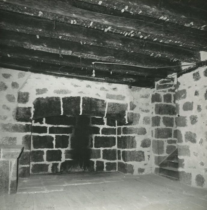 Château de Palmont : Donjon, 1er étage, cheminée monumentale, vue générale