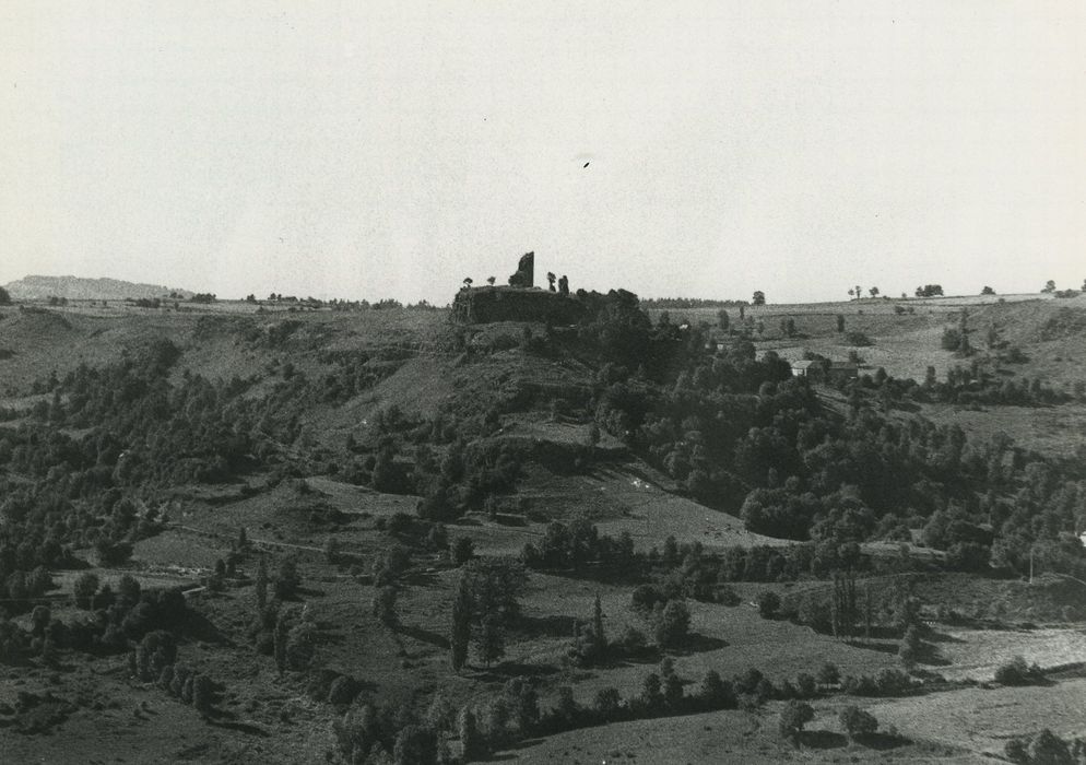 Ruines du château de Mardogne : Vue générale des ruines dans leur environnement depuis l’Est