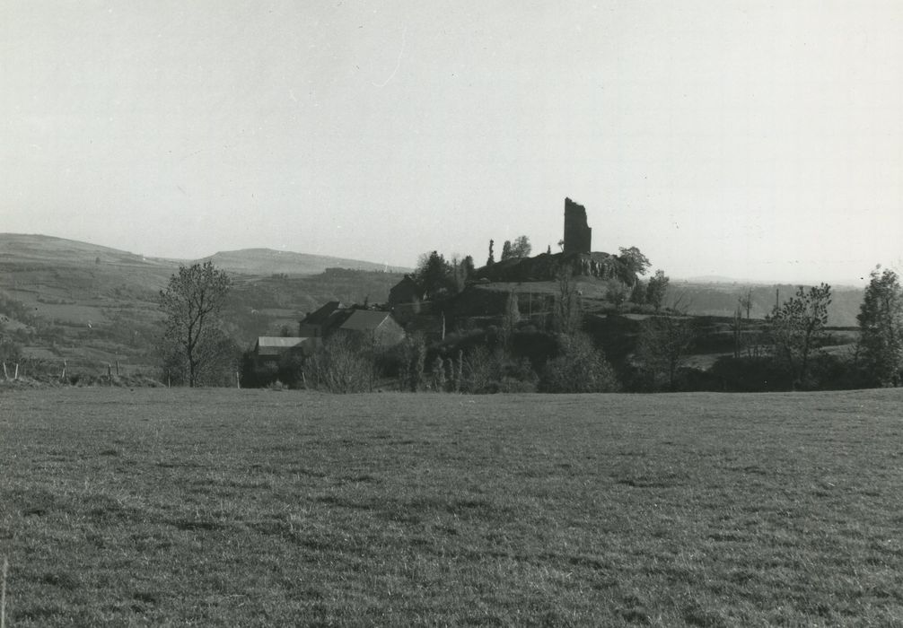 Ruines du château de Mardogne : Vue générale des ruines dans leur environnement depuis le Nord-Est