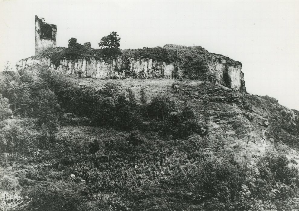 Ruines du château de Mardogne : Vue générale des ruines dans leur environnement depuis l’Ouest