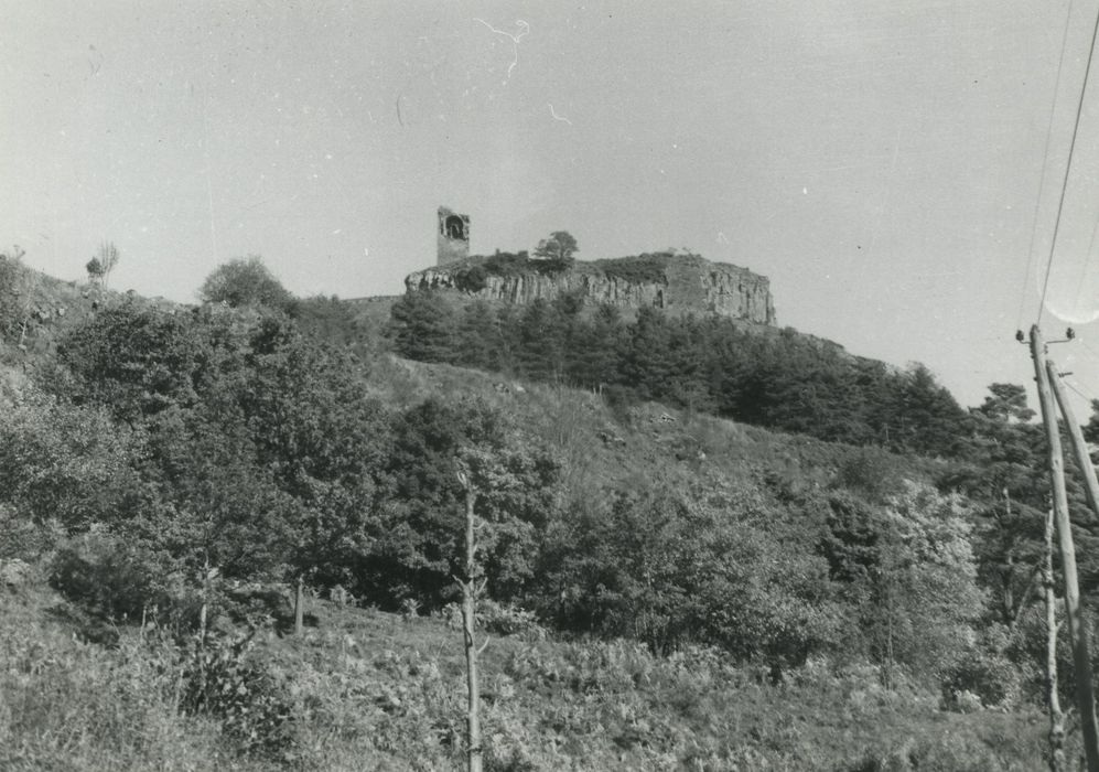 Ruines du château de Mardogne : Vue générale des ruines dans leur environnement depuis l’Ouest