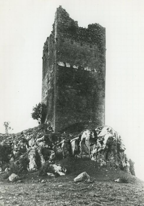 Ruines du château de Mardogne : Elévations nord et est, vue générale