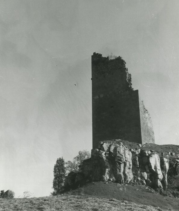 Ruines du château de Mardogne : Elévations nord et ouest, vue générale