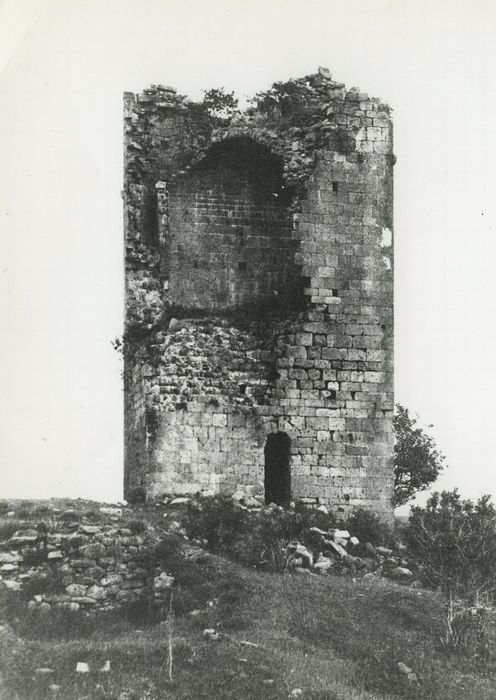 Ruines du château de Mardogne : Elévation sud, vue générale