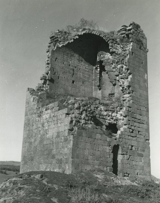 Ruines du château de Mardogne : Elévations sud et ouest, vue générale