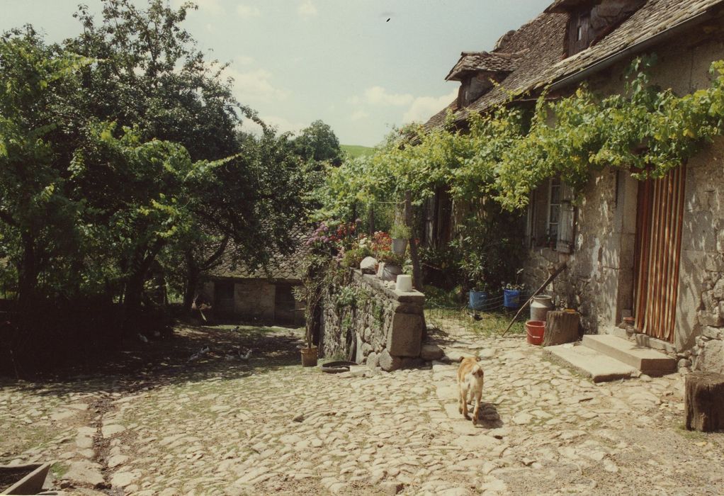 Ferme de Pressoire : Cour cailloutée, vue partielle