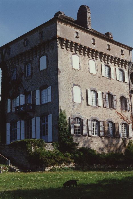 Château de Viescamp : Donjon, façades sud et ouest, vue générale