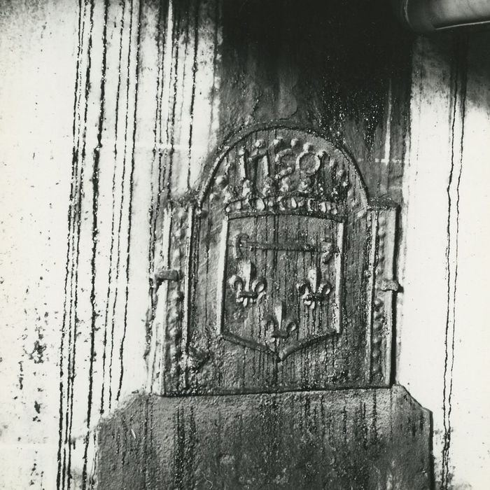 Hôtel de ville (ancien hôtel de la Trémolière) : 1er étage, grande salle, détail de la plaque de cheminée