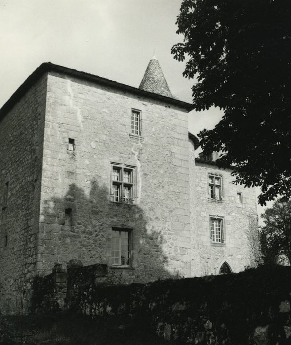 Château de Messac : Façade sud-ouest, vue partielle