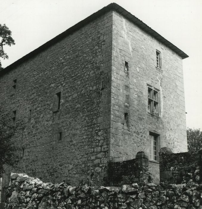 Château de Messac : Façades nord-ouest, vue partielle