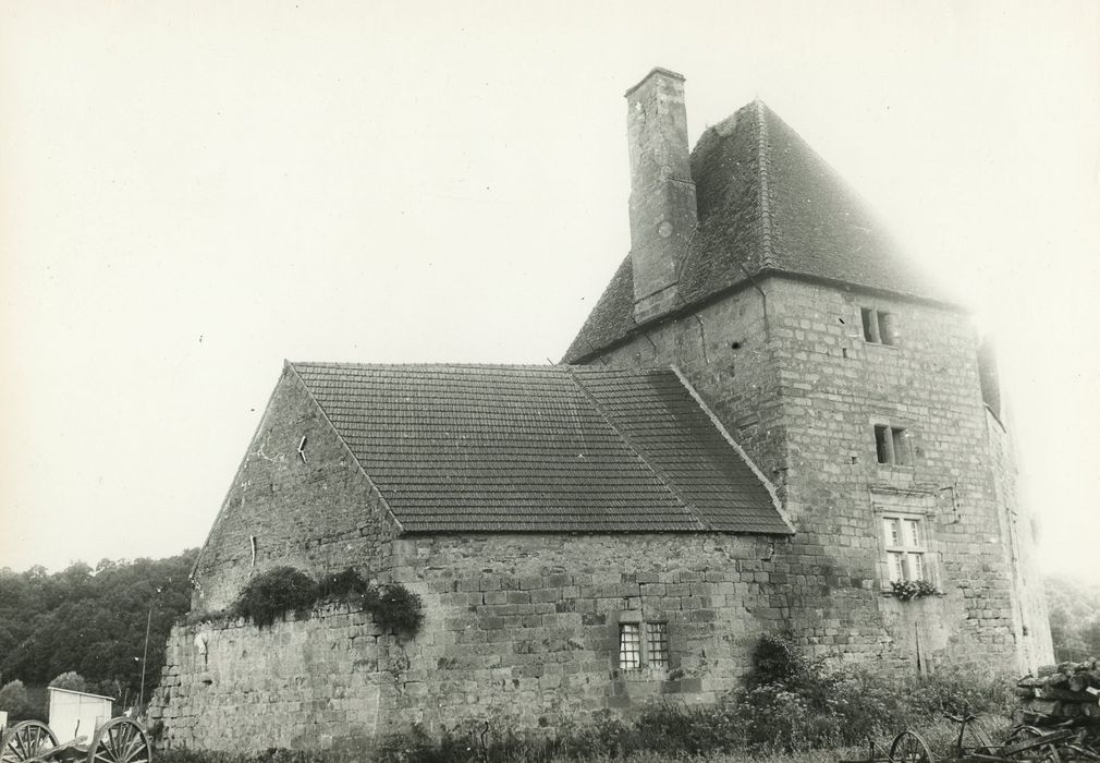 Château de Lally : Ensemble nord, vue partielle