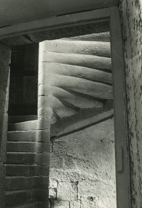 Château de Lally : Escalier à vis, vue partielle