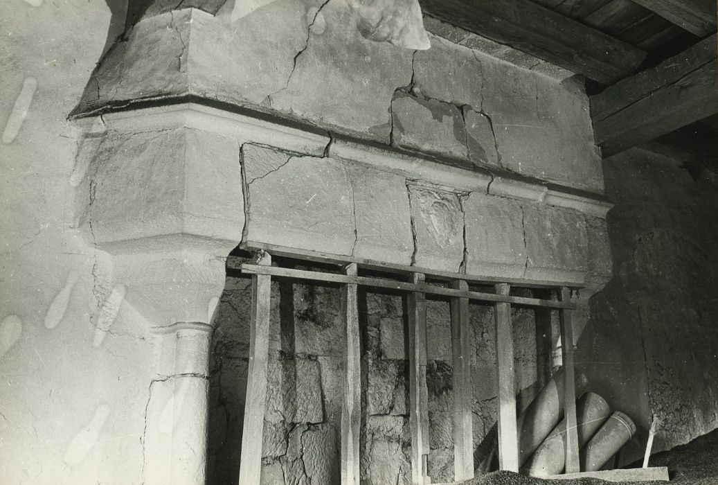 Château de Lally : Cheminée monumentale, vue générale