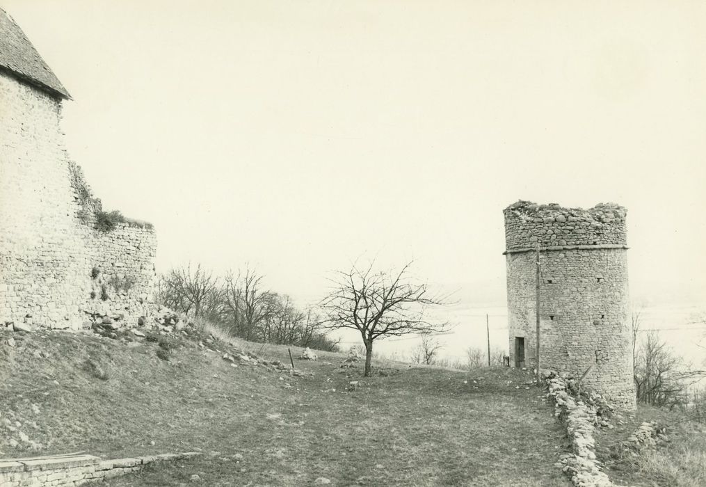 Château de Brandon : Pigeonnier, vue générale