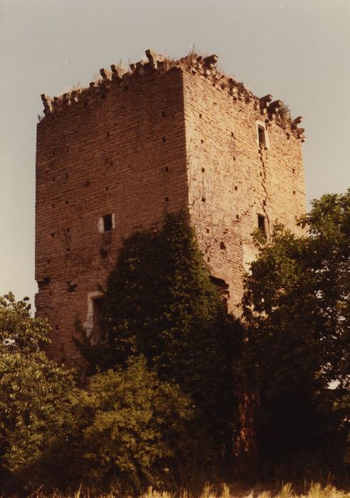 Donjon : Façades sud et ouest, vue générale