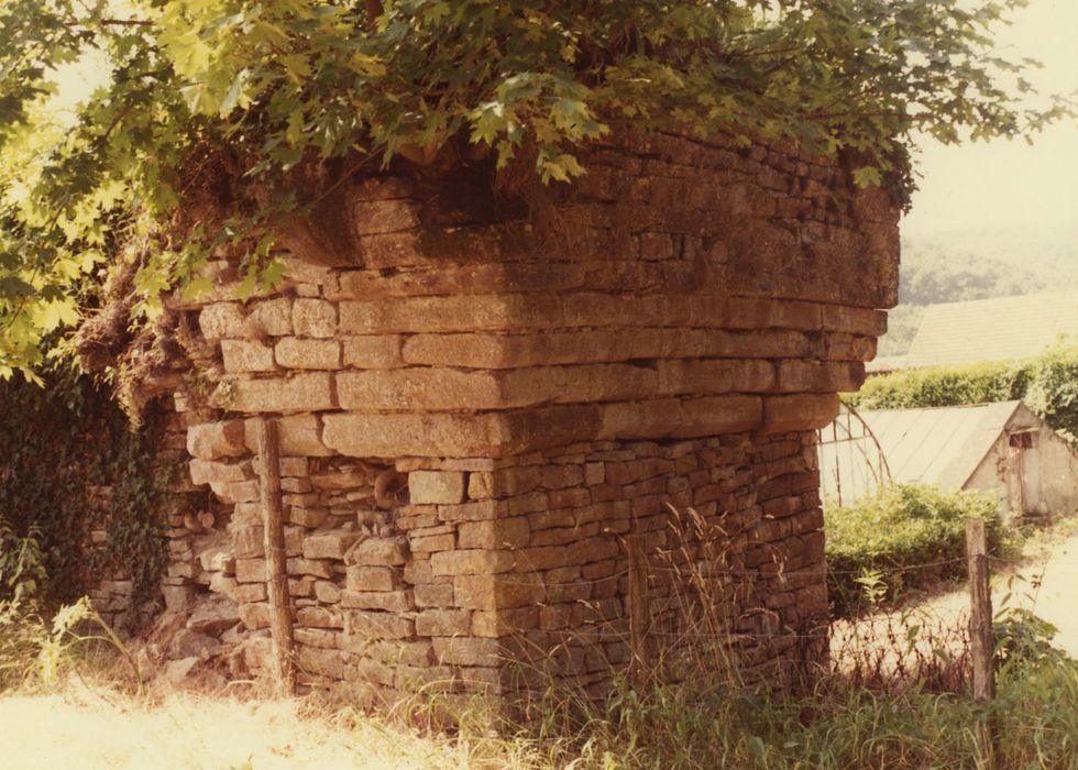 Donjon : Détail de la tour d’enceinte sud