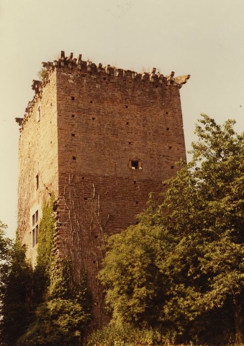 Donjon : Façades nord et est, vue générale