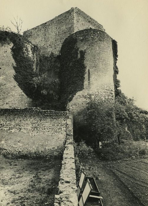 Château (ruines) : Elévation ouest, vue générale