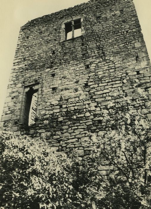 Château (ruines) : Elévation sud, vue générale