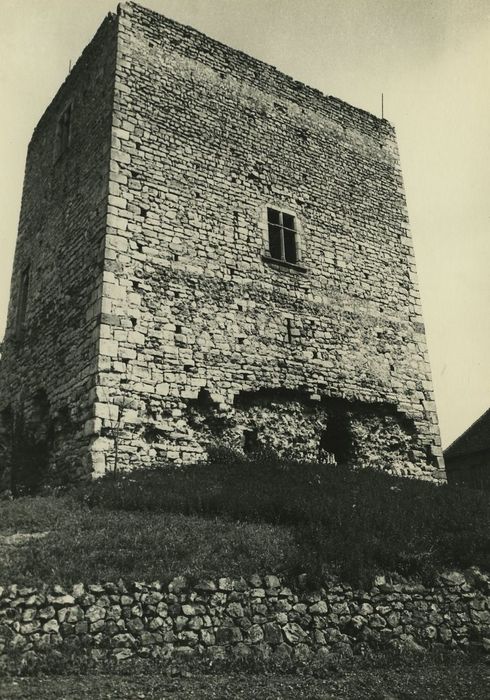 Château (ruines) : Elévation est, vue générale