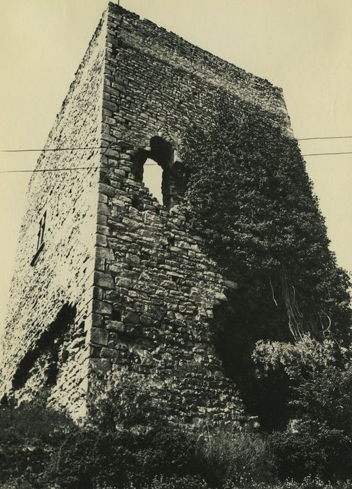 Château (ruines) : Elévations nord et est, vue générale