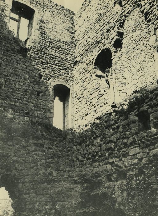 Château (ruines) : Vue partielle des ruines (murs nord et ouest)