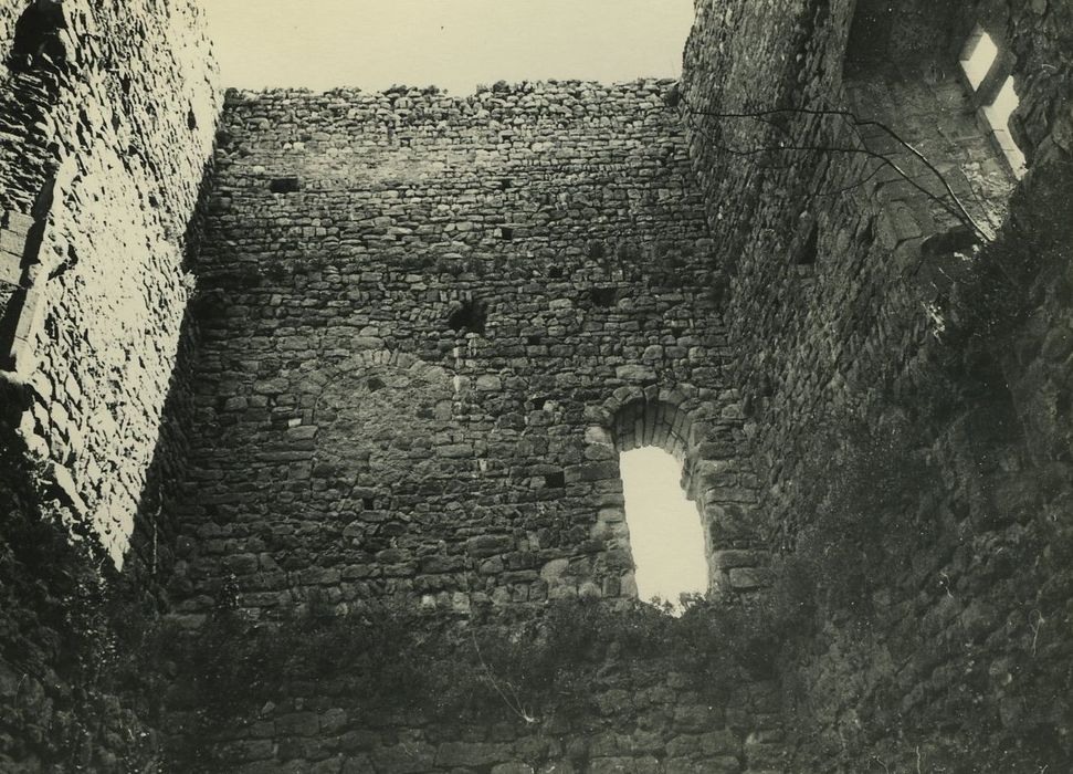 Château (ruines) : Vue partielle des ruines (murs nord, est et sud)