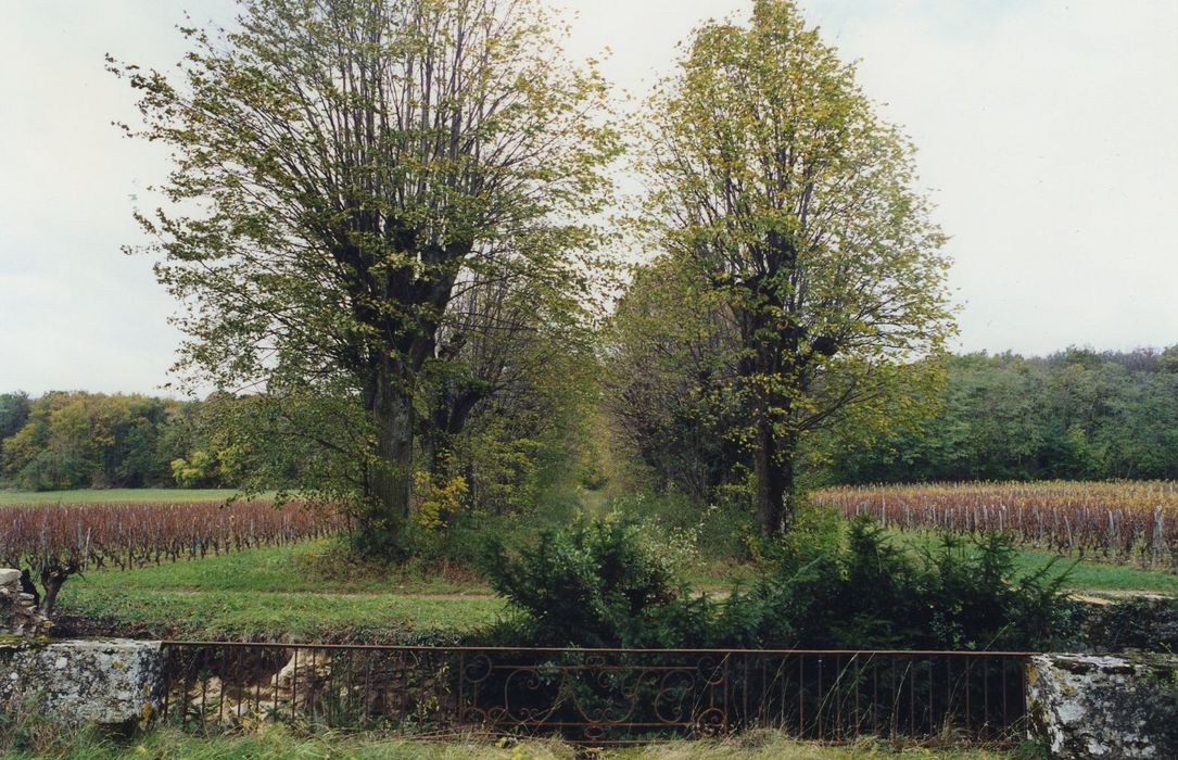 Château de Layé : Parc, allée ouest, vue générale