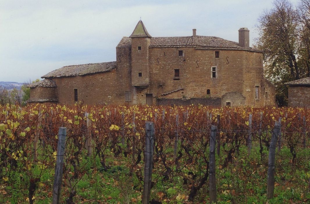 Vieux-Château de Layé : Ensemble ouest, vue générale