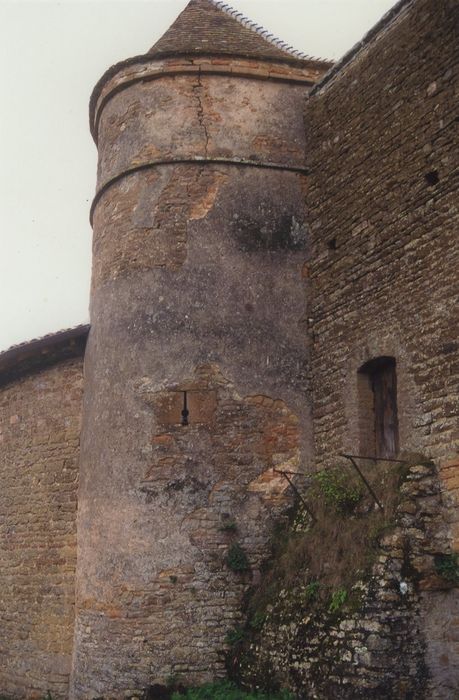 Vieux-Château de Layé : Tour ouest, vue générale