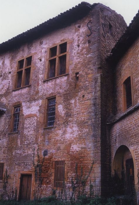 Vieux-Château de Layé : Façade est sur l’ancienne cour, vue partielle