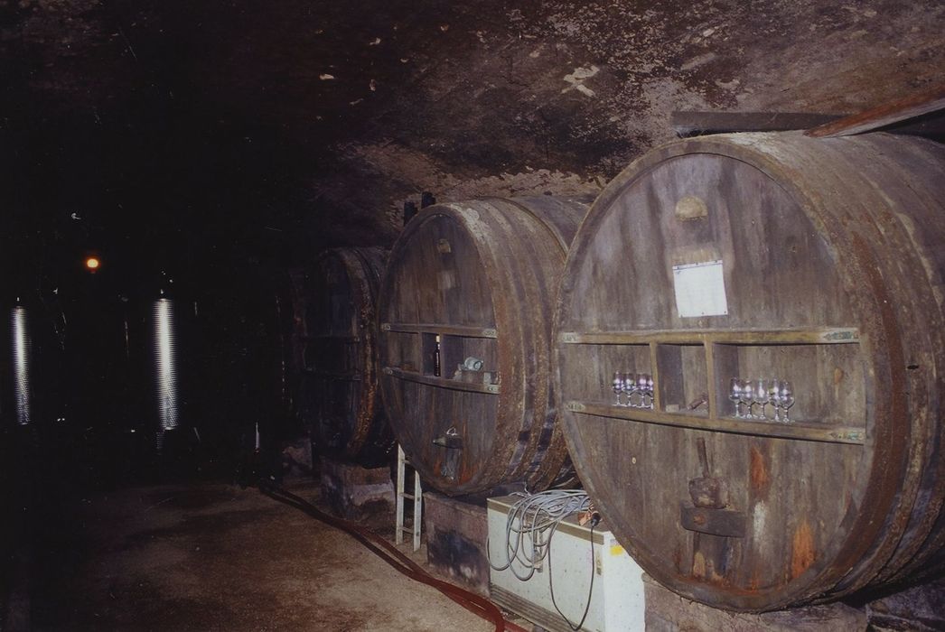 Domaine du château de Layé : Tinailler, sous-sol, vue partielle