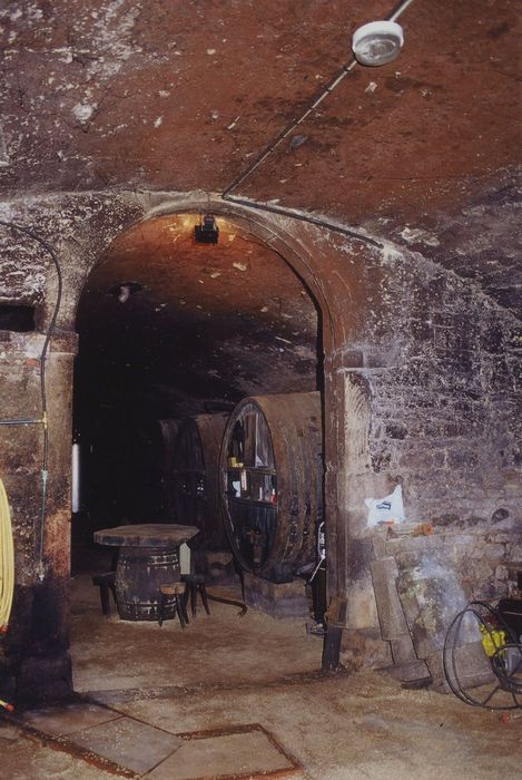 Domaine du château de Layé : Tinailler, sous-sol, vue partielle