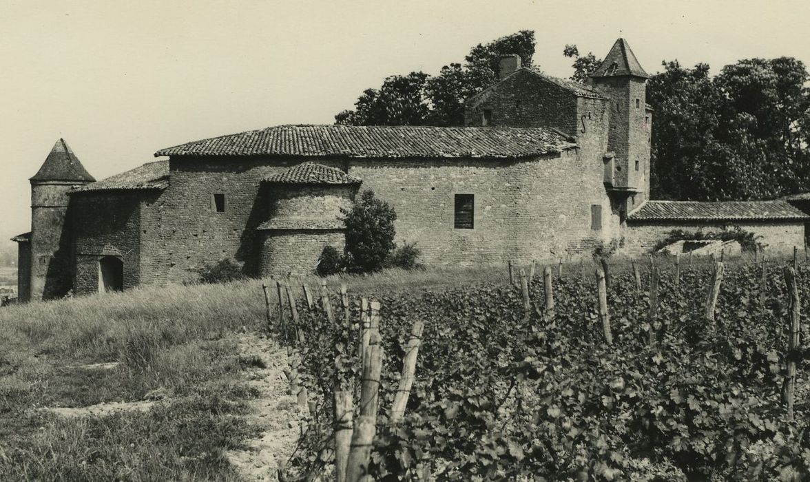 Vieux-Château de Layé : Ensemble nord, vue générale