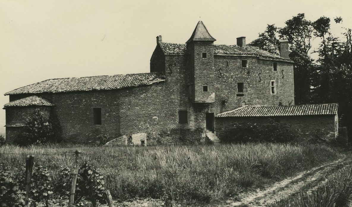 Vieux-Château de Layé : Ensemble nord-ouest, vue générale