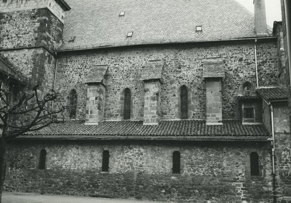 Eglise Notre-Dame-aux-Neiges : Façade latérale ouest, vue partielle