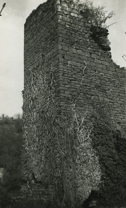 Ruines de la tour de Marlat : Elévations nord-ouest et sud-ouest, vue générale