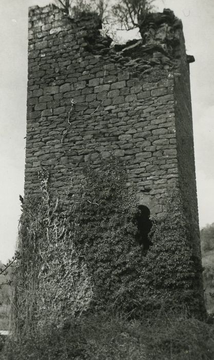 Ruines de la tour de Marlat : Elévation sud-ouest, vue générale