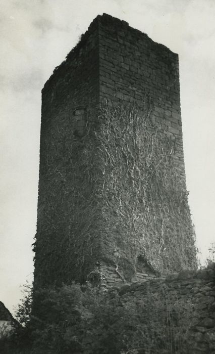 Ruines de la tour de Marlat : Elévations nord-est et nord-ouest