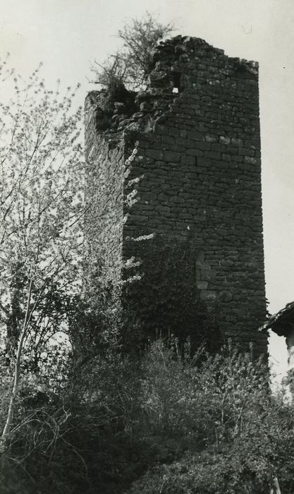 Ruines de la tour de Marlat : Elévation sud-est, vue générale