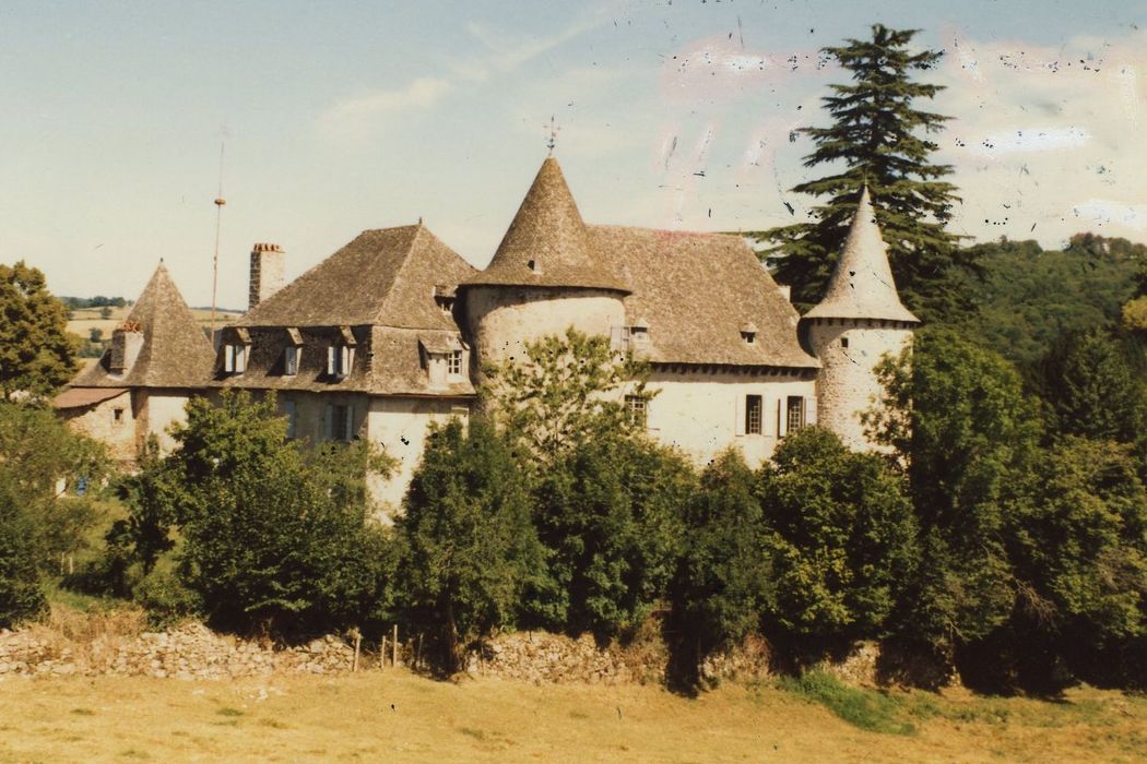 Château d'Entraygues : Vue partielle du château dans son environnement depuis le Nord-Ouest