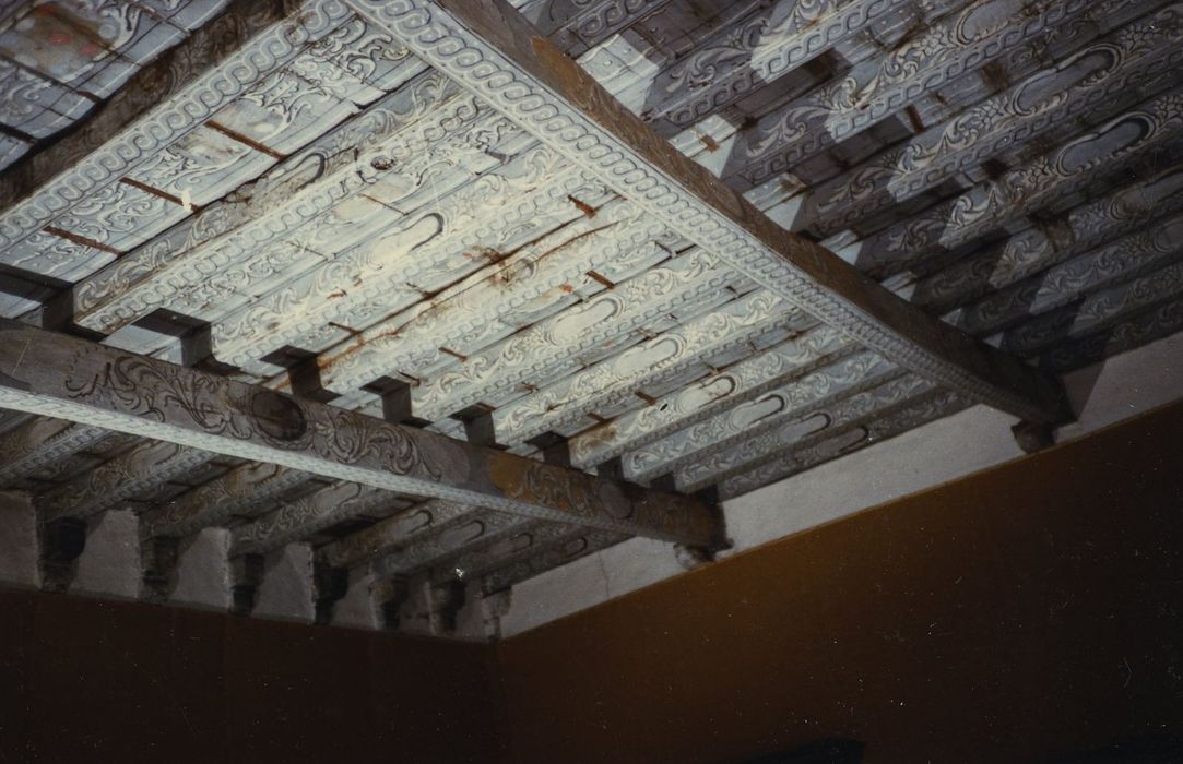 Château d'Entraygues : 1er étage, Grande salle, vue partielle du plafond